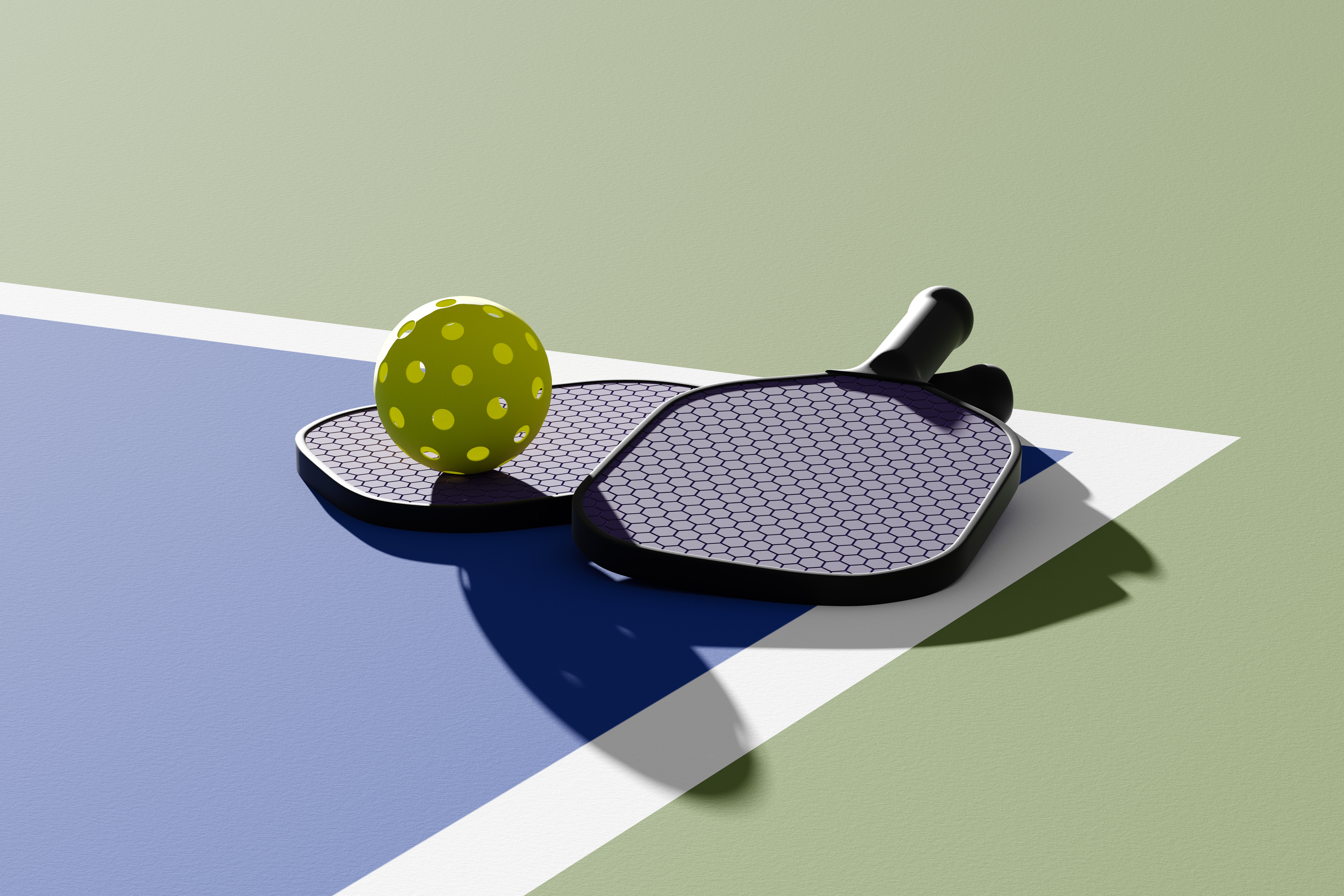 Pickleball at the alaska club, gyms near me
