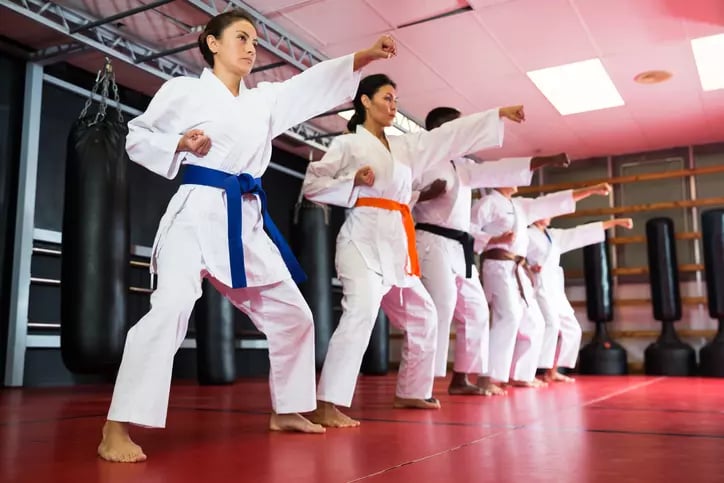 Alaska_club_south-adult_karate [MConverter.eu]