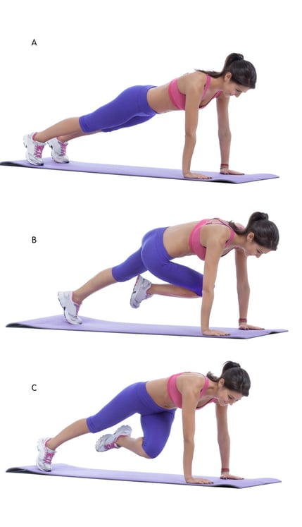 Mountain climbers
