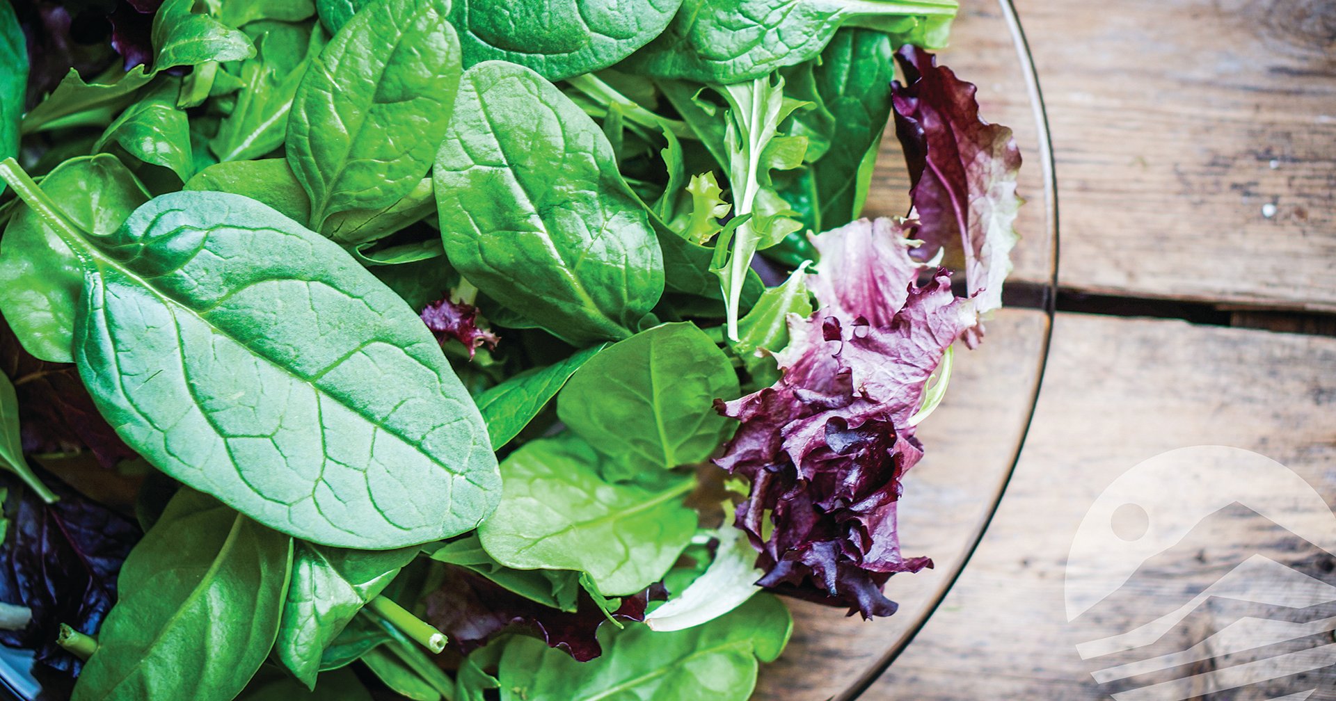 a healthy salad made up of dark leafy greens