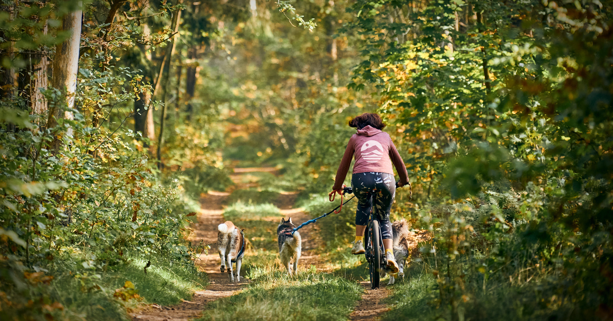 Woman mountain biking and spending time outside with her dogs